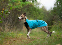 Thumbnail for Alpine Blazer - LIGHTLY LOVED