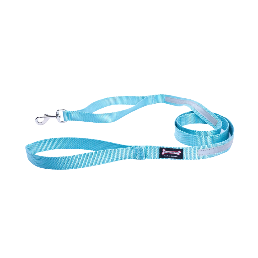 Smooch Poochy Nylon Reflective Leash