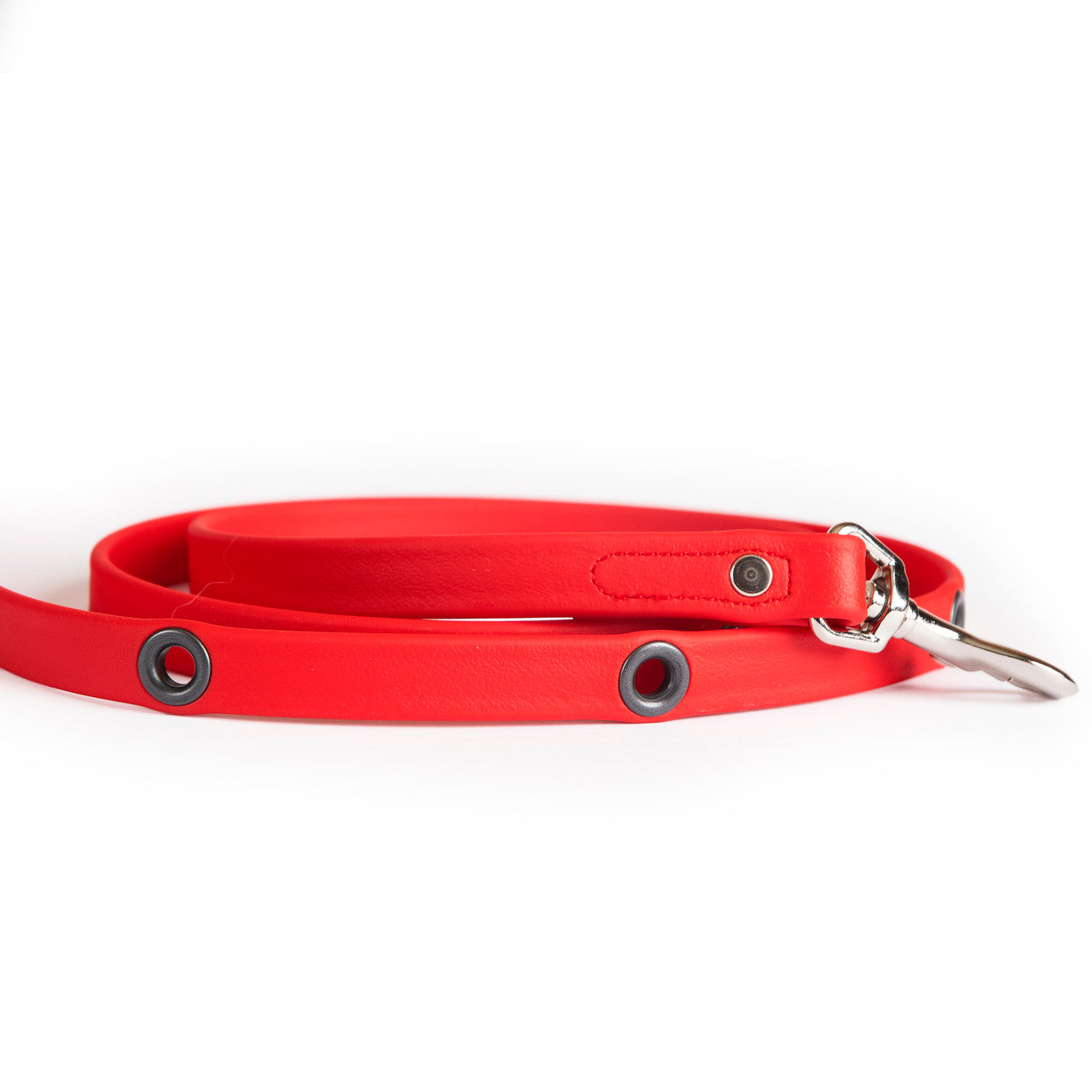 Smoochy Poochy Hands-Free Waterproof Leash