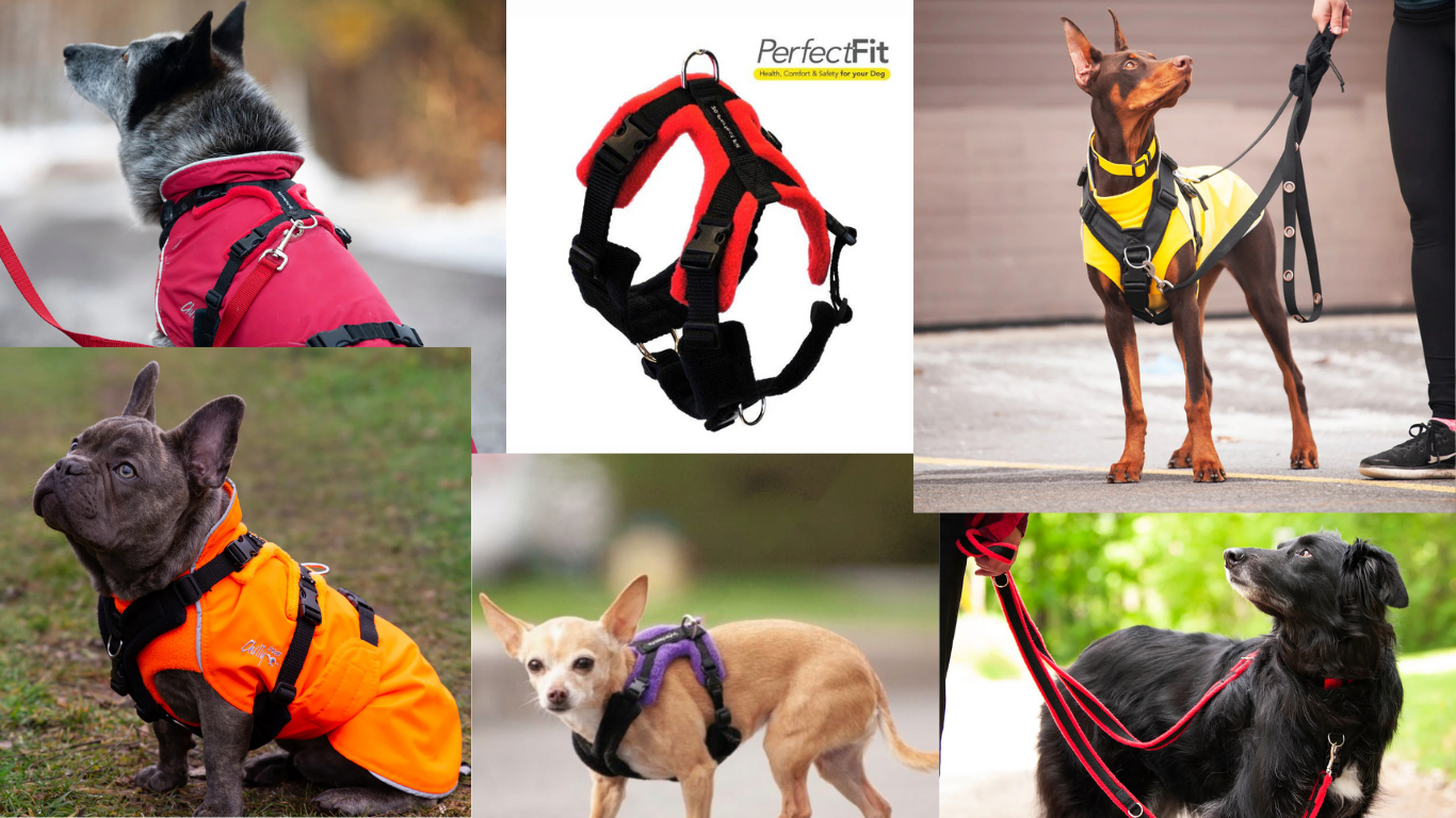 Perfect Fit Harness