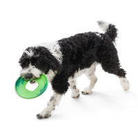 Thumbnail for Dog carrying green West Paw Sailz Frisbee Dog Toy