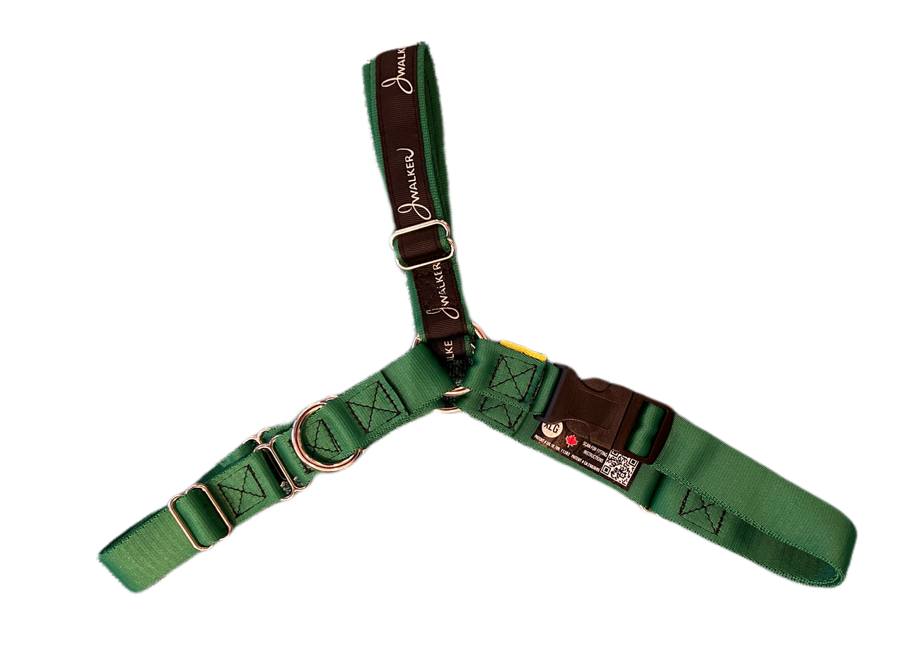 JWalker Dog Harness in Emerald Green