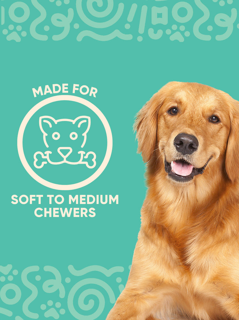 YOMP ChillChew teether for dogs