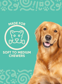 Thumbnail for YOMP ChillChew teether for dogs