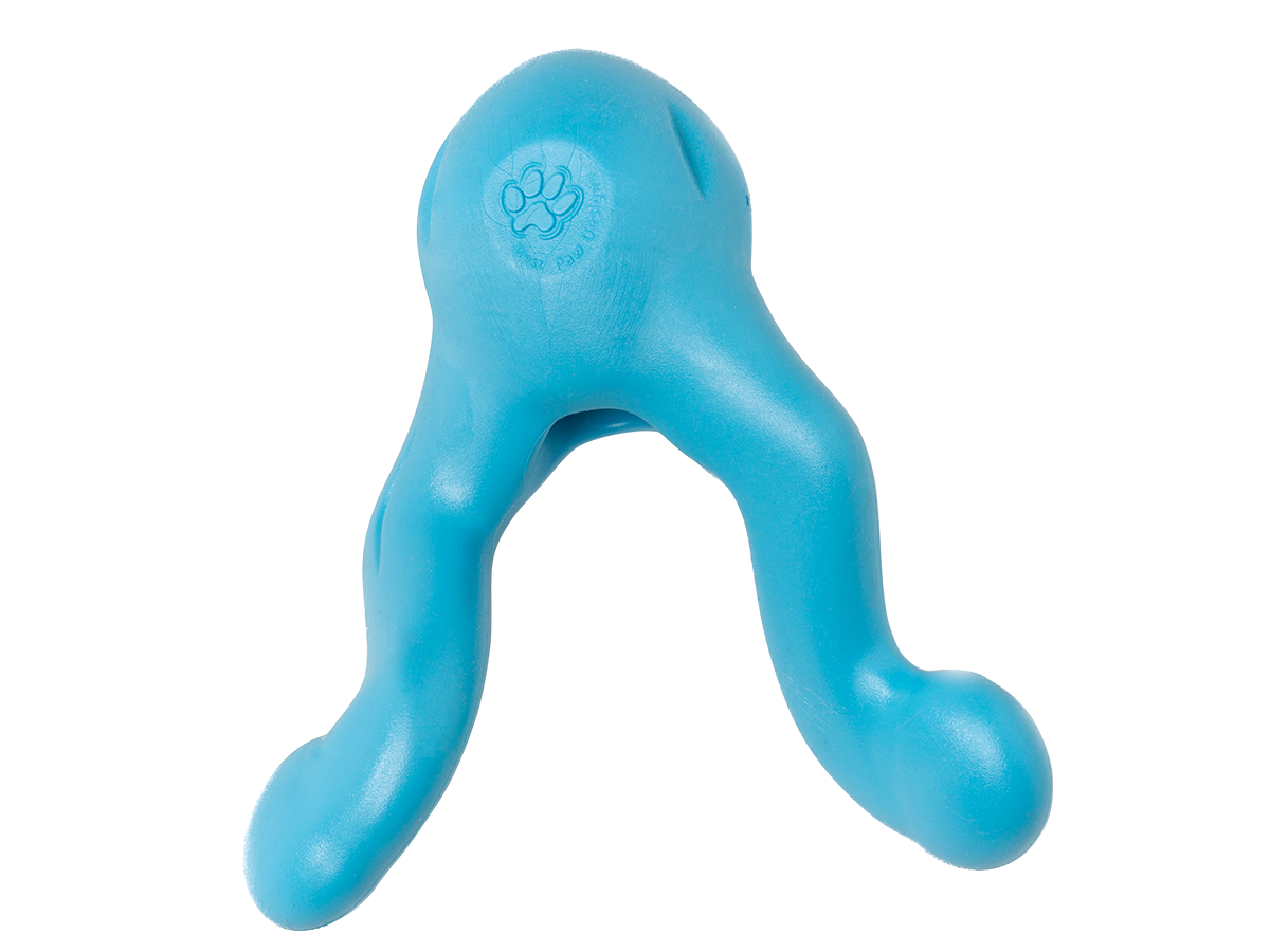 West Paw Tizzi dog toy in Aqua