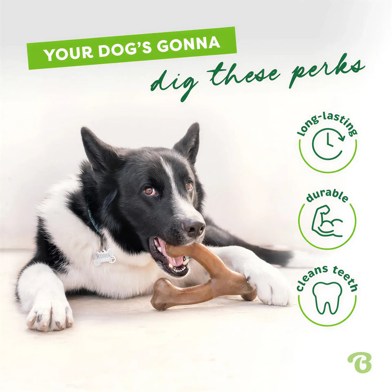 Benebone Wishbone chew toy in chicken flavor, with a dog chewing on it, featuring text about its benefits.