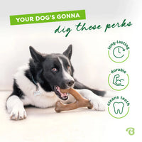 Thumbnail for Benebone Wishbone chew toy in chicken flavor, with a dog chewing on it, featuring text about its benefits.