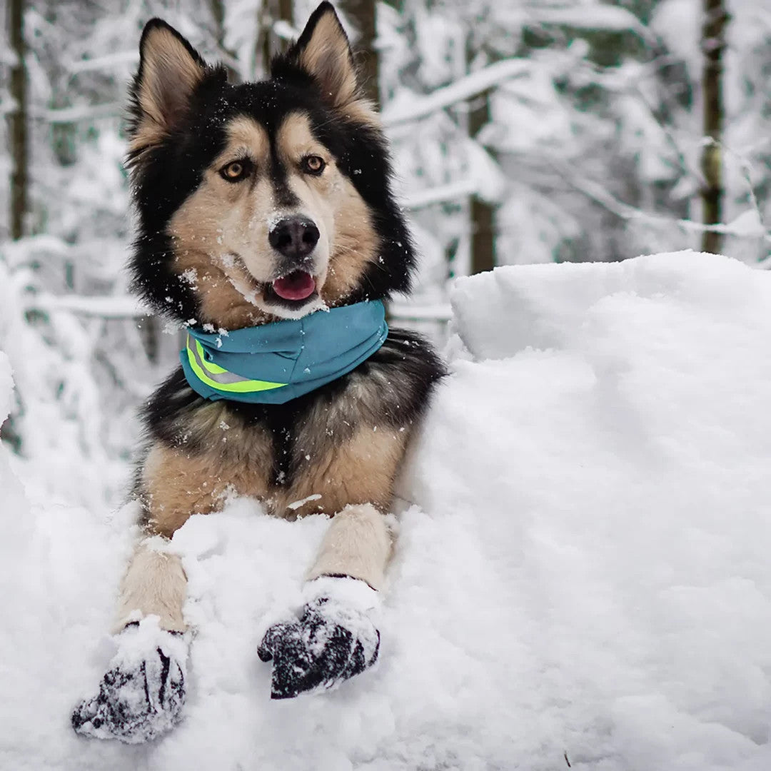 Nahak Dog Boots - Snow