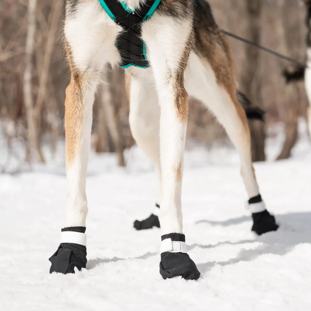 Nahak Dog Boots - Snow