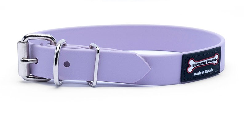 Smoochy Poochy Waterproof Buckle Collar  1" - FINAL SALE