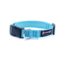 Thumbnail for Smoochy Poochy Nylon Collar