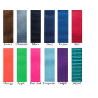 Thumbnail for Smoochy Poochy Nylon Hands-Free Leash - 8ft
