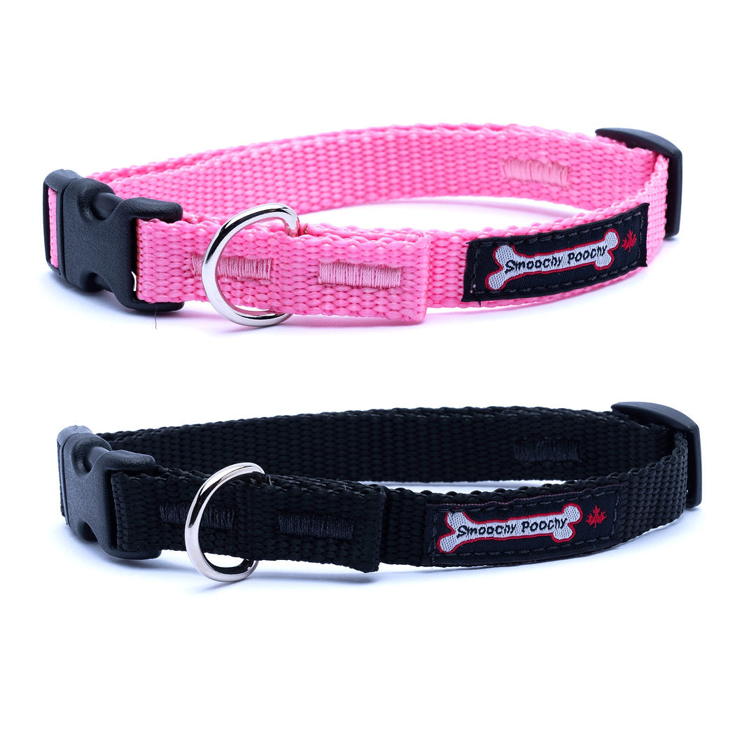 Smoochy Poochy Nylon Collar