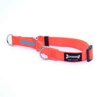 Thumbnail for Smoochy Poochy Nylon Smoochygale Collar (no chain)