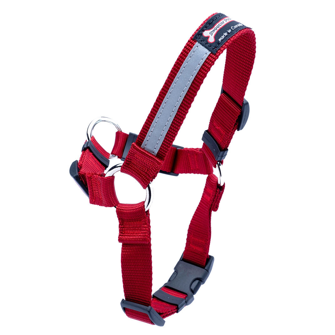 Smoochy Poochy Front Clip Harness