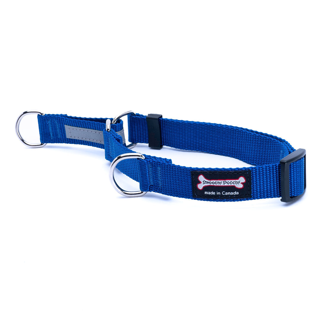Smoochy Poochy Nylon Smoochygale Collar (no chain)