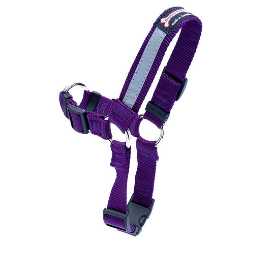 Smoochy Poochy Front Clip Harness