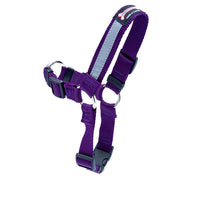 Thumbnail for Smoochy Poochy Front Clip Harness