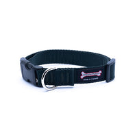 Thumbnail for Smoochy Poochy Nylon Collar