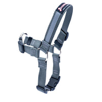 Thumbnail for Smoochy Poochy Front Clip Harness