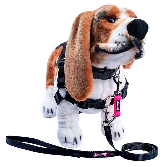 Smoochy Poochy Safety Tab