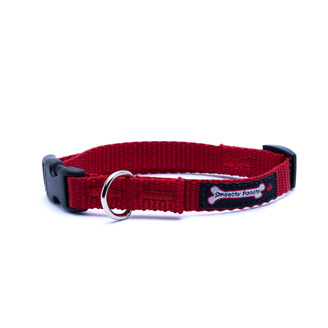 Smoochy Poochy Nylon Collar