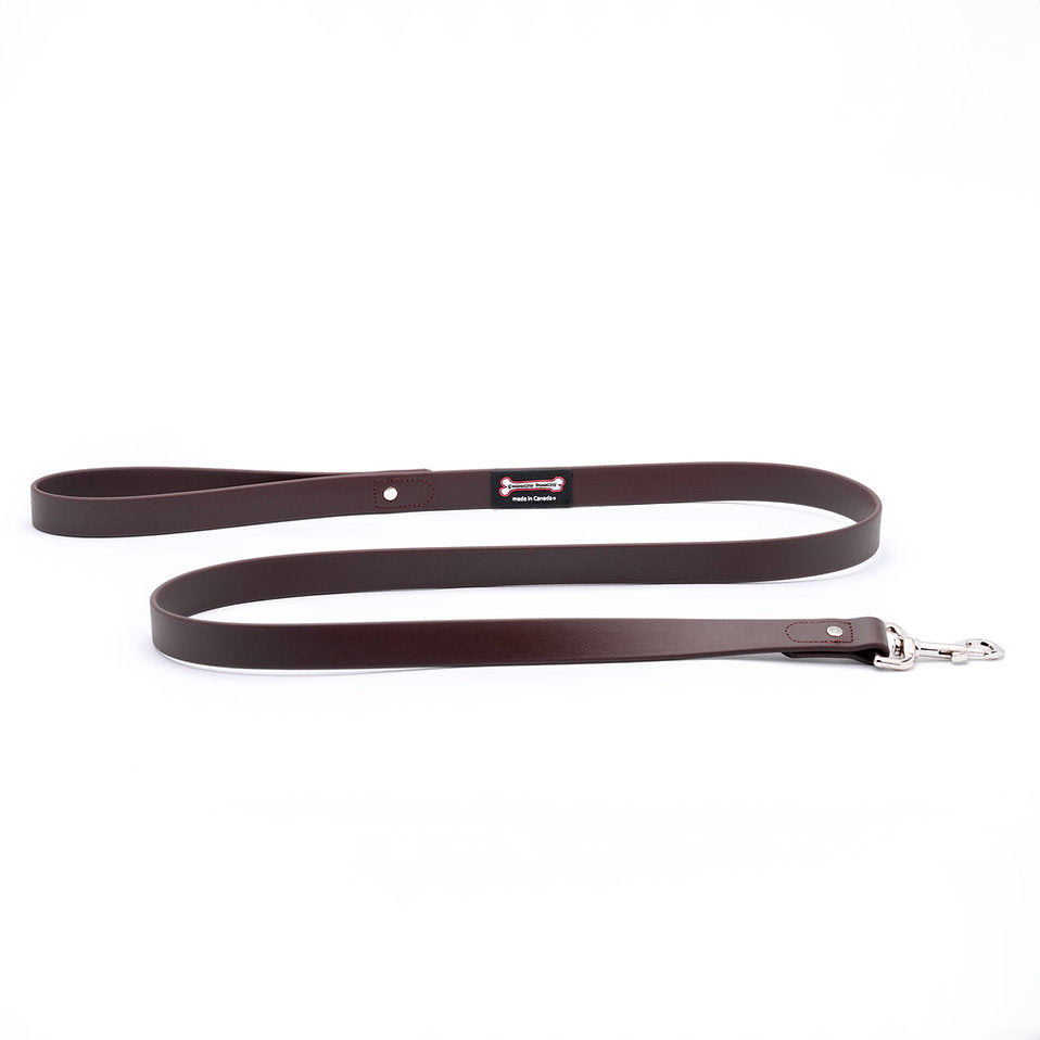 Smoochy Poochy Poly Leash - 5ft
