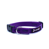 Thumbnail for Smoochy Poochy Nylon Collar