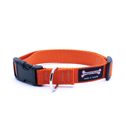 Smoochy Poochy Nylon Collar