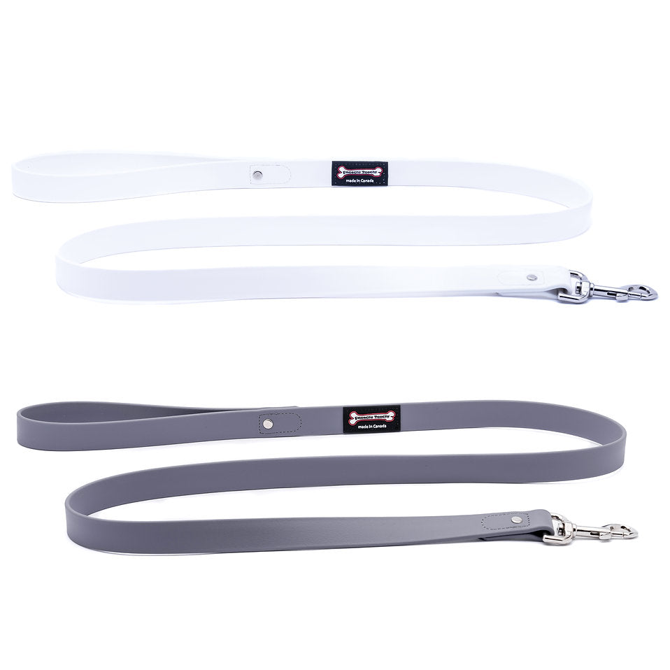 Smoochy Poochy Poly Leash - 5ft