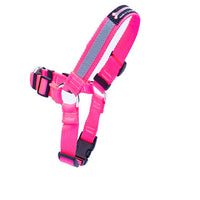 Thumbnail for Smoochy Poochy Front Clip Harness