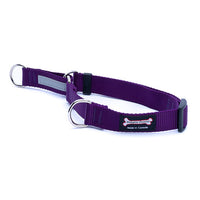 Thumbnail for Smoochy Poochy Nylon Smoochygale Collar (no chain)