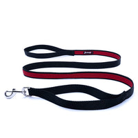 Thumbnail for Smoochy Poochy 2tone Regular Leash - 6ft