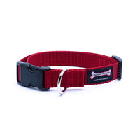 Thumbnail for Smoochy Poochy Nylon Collar