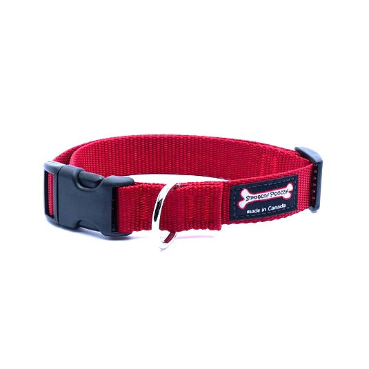 Smoochy Poochy Nylon Collar