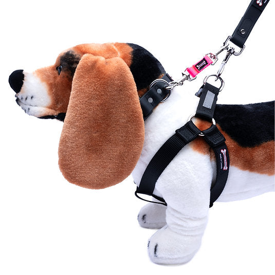 Smoochy Poochy Safety Tab