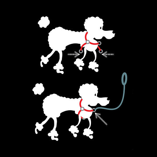 Smoochy Poochy Step-In Harness 5/8"