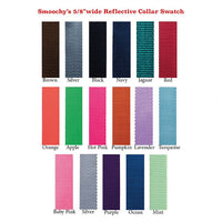 Thumbnail for Smoochy Poochy Reflective Hands-Free Nylon Leash - 6ft
