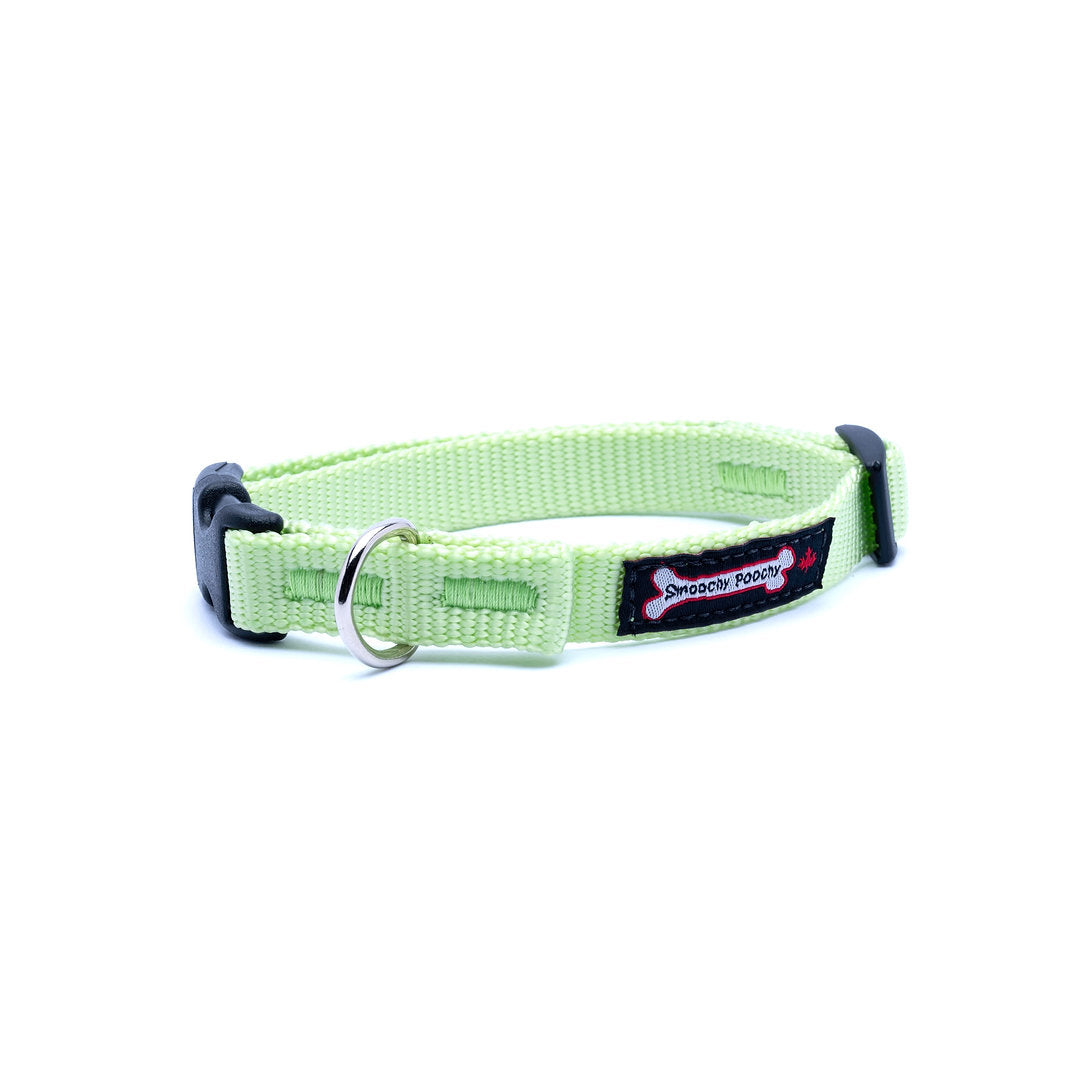 Smoochy Poochy Nylon Collar