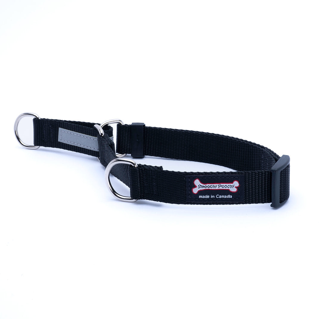 Smoochy Poochy Nylon Smoochygale Collar (no chain)