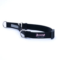 Thumbnail for Smoochy Poochy Nylon Smoochygale Collar (no chain)