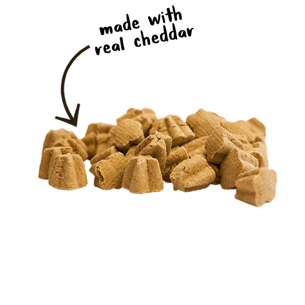 CS Crunchy Tricky Trainers Cheddar Dog Training Treats