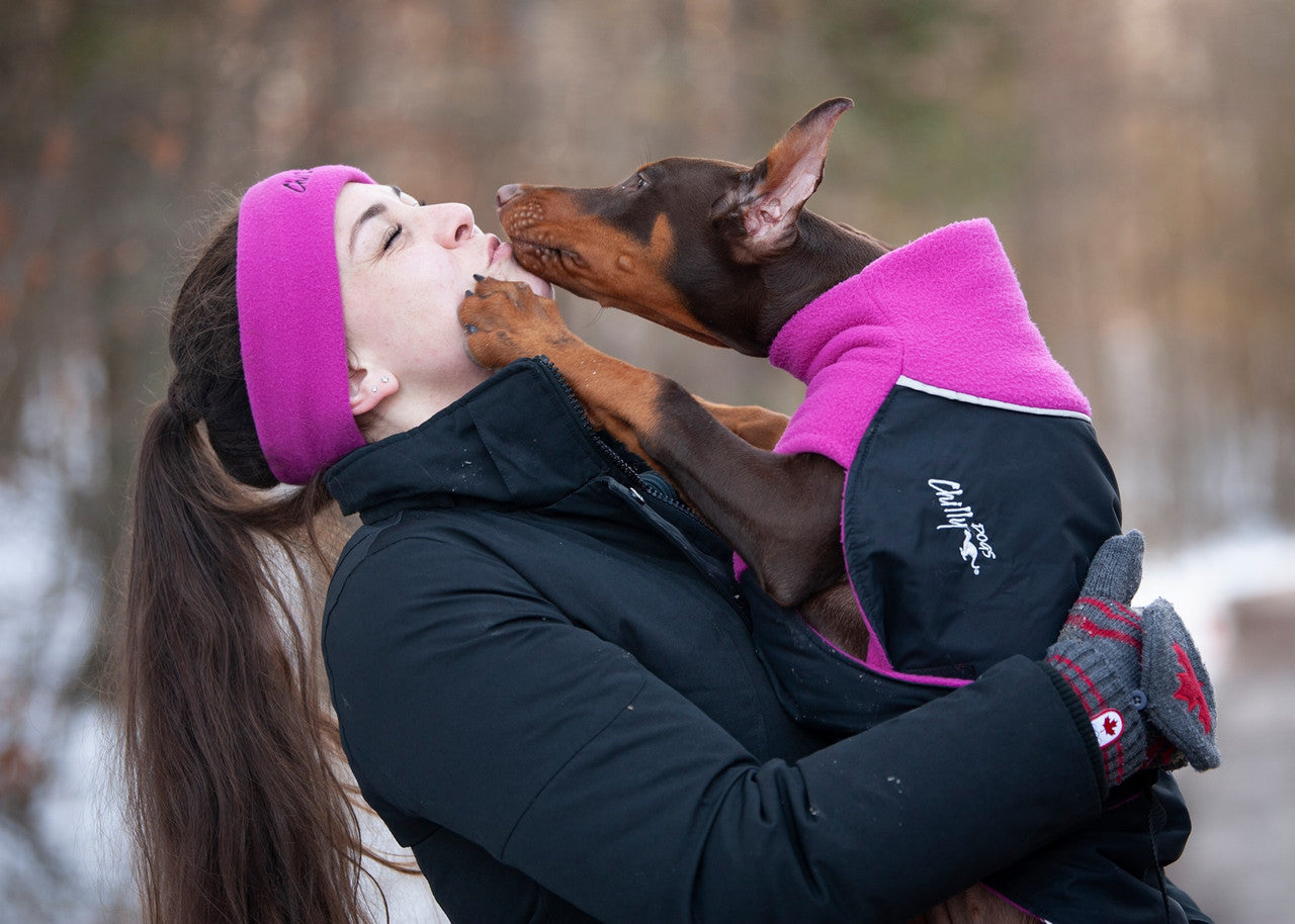 Chilly Dogs Head Band