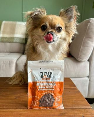 Tilted Barn Canadian Bison Mini WagTreats