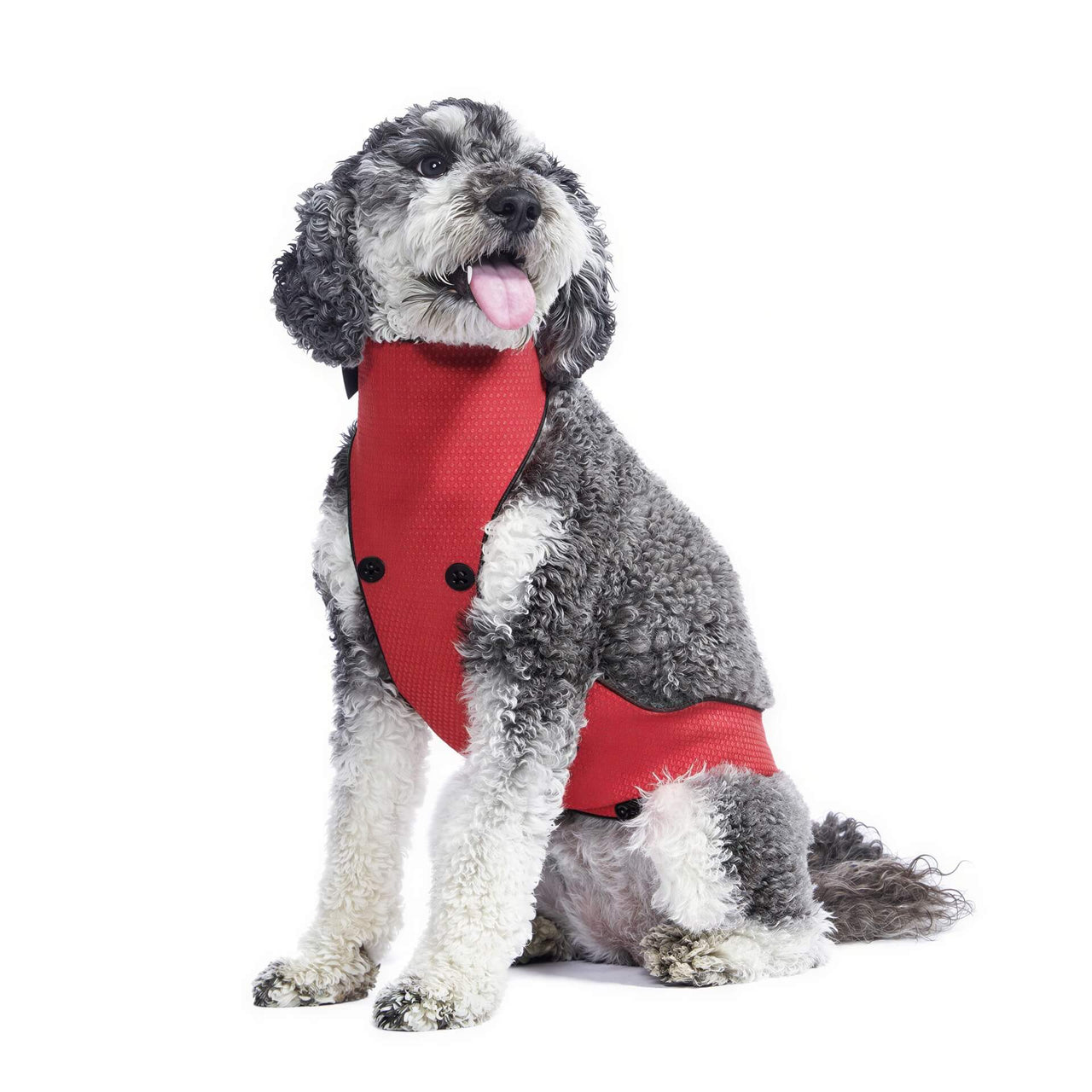 Belly Bibs in red, designed for outdoor dogs, featuring a button detail and a comfortable fit on a gray dog.