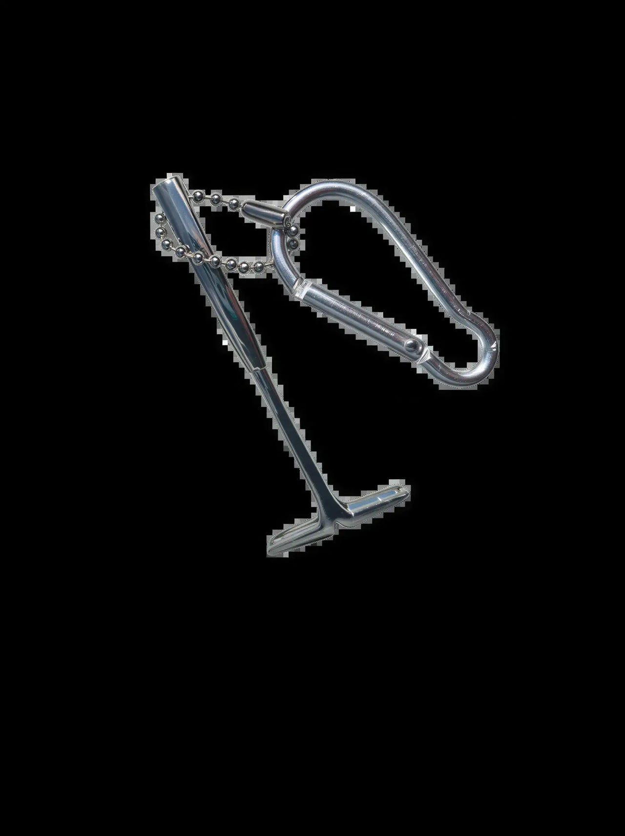 PureGard Evict-A-Tick lifter with a keychain attachment, featuring a silver metallic finish and a sturdy design.