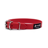 Smoochy Poochy 1" Poly Collar