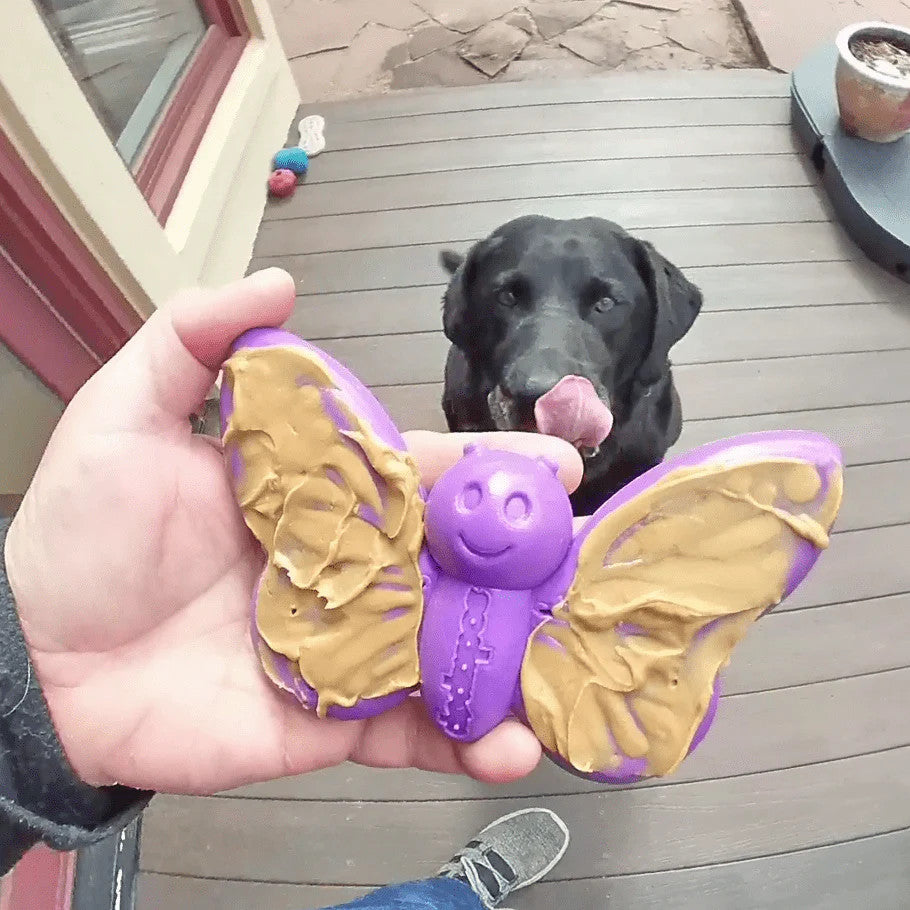 Sodapup Butterfly - Ultra Durable Nylon Chew Toy & Food Holder