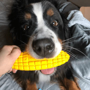 SodaPup Corn Cob Lick/Chew Toy