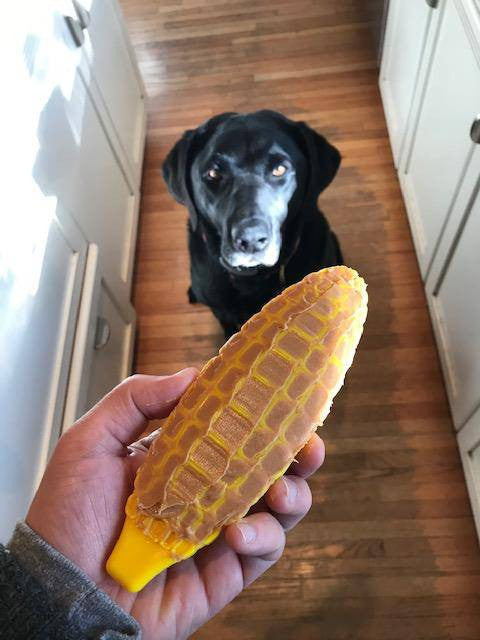 SodaPup Corn Cob Lick/Chew Toy